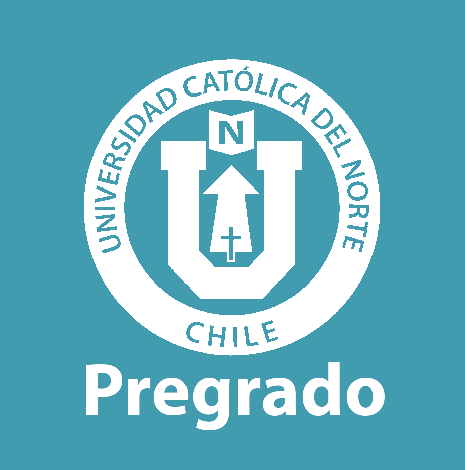 Tesis de pregrado
